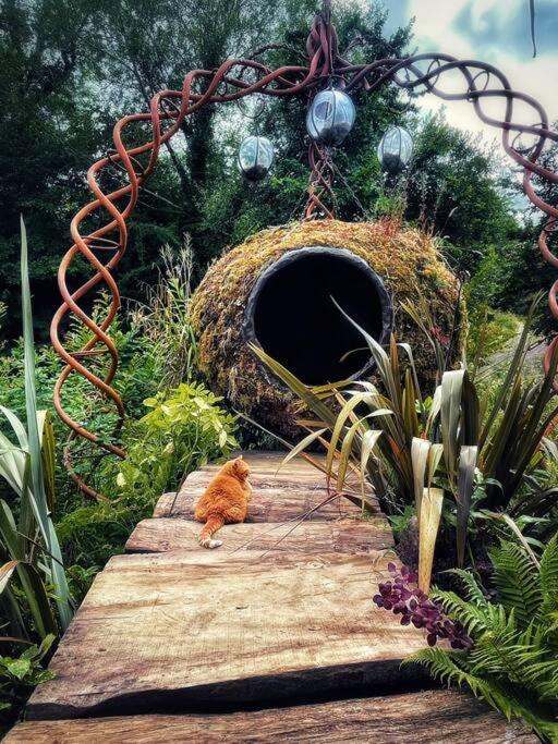 Truck & Pod Creative Nature Retreat. Bantry Exterior photo